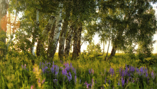 750168 (a): :2600x1475